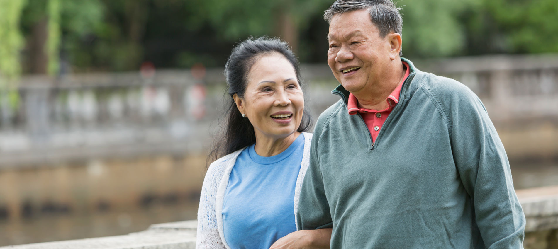 Happy Senior Couple Walking In Park