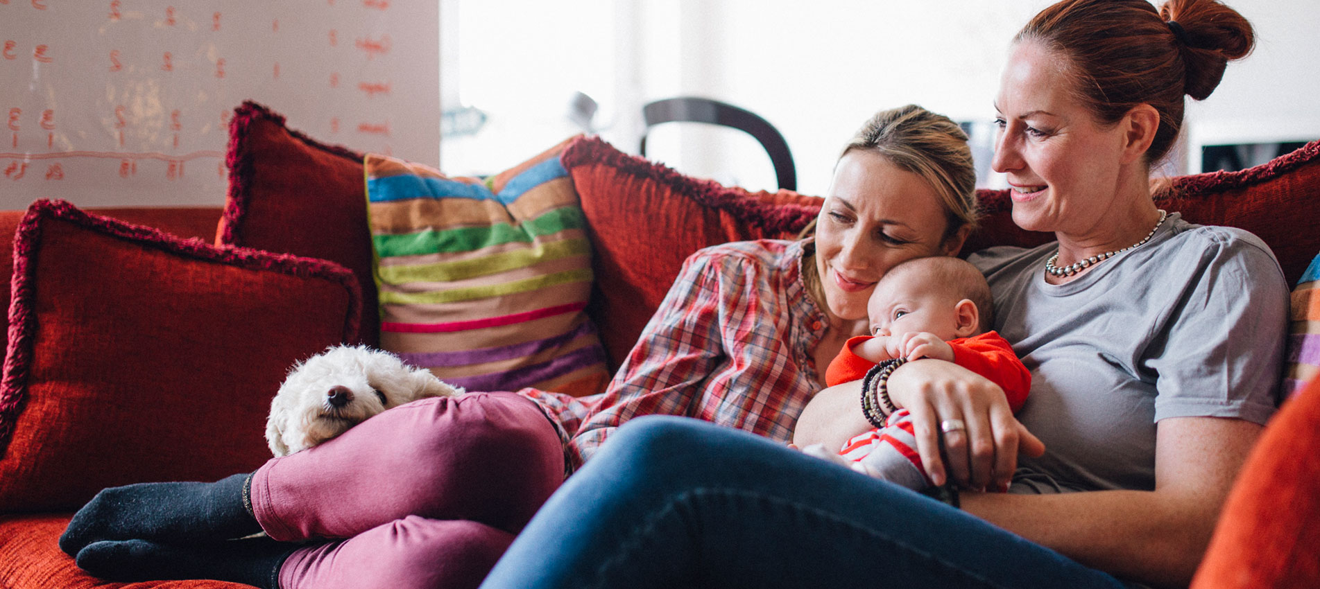 Mothers Daughter And Dog Time