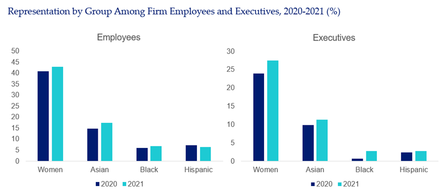 Representation by Group Among Firm Employees and Executives, 2020-2021