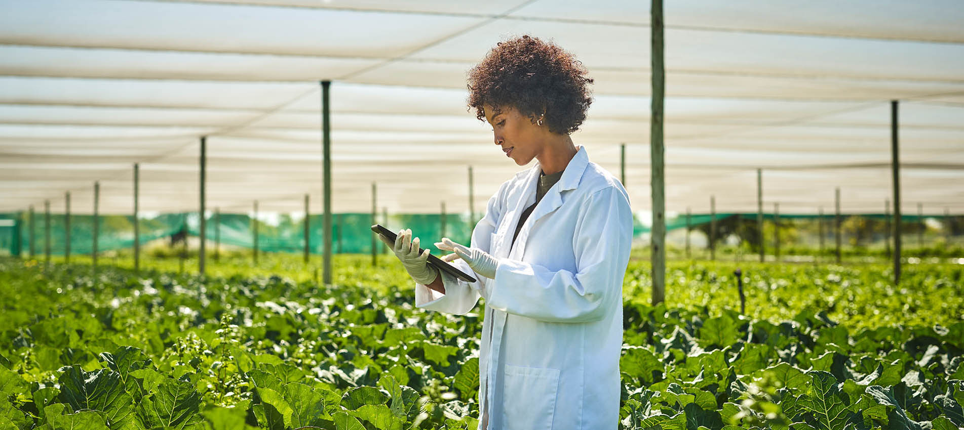 Survey of Investment Managers Finds Sustainability Gains, Diminished Diversity and Strong Governance