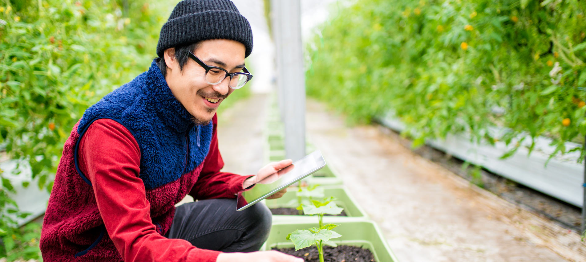 Farmer Conducting Research Using A Digital Tablet In A Greenhouse
