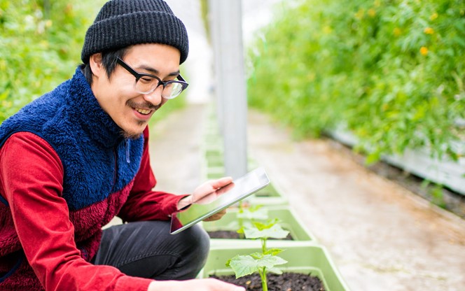 Farmer Conducting Research Using A Digital Tablet In A Greenhouse
